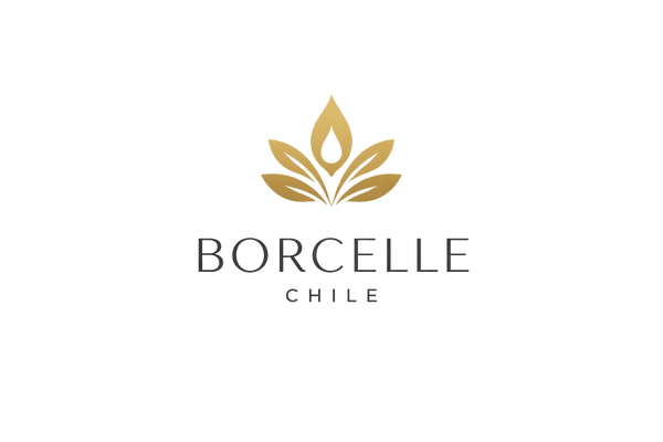 BorcelleChile